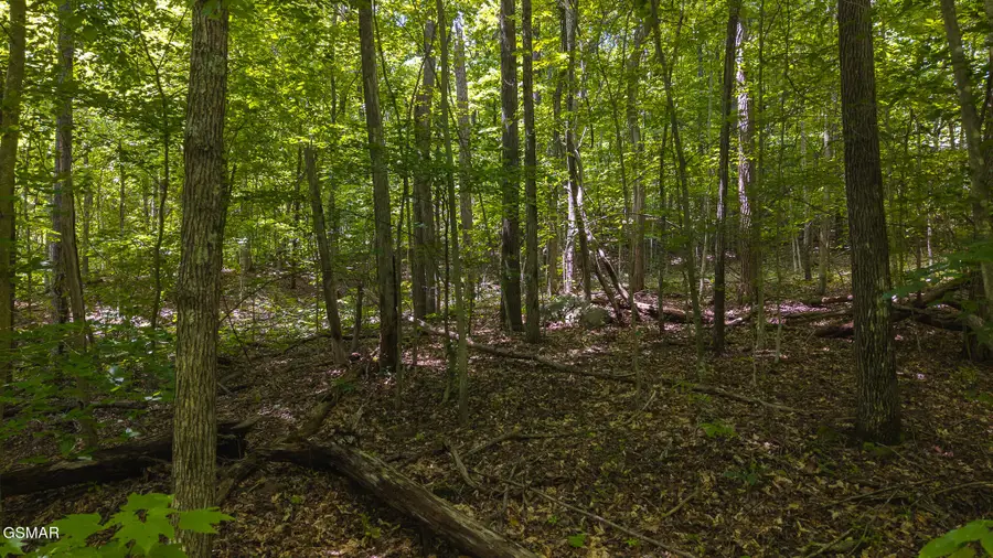 Lot 187 Cottage Lane, New Tazewell, TN 37825 - #2