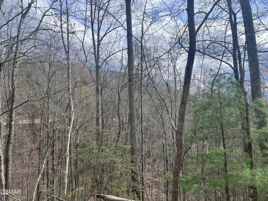 Lots 55 54 71 Yellowwood Drive, Sevierville, TN 37876 - #2
