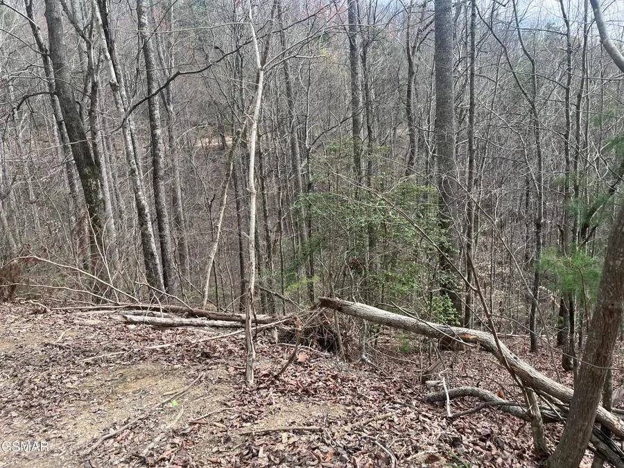 Lots 55 54 71 Yellowwood Drive, Sevierville, TN 37876 - #3