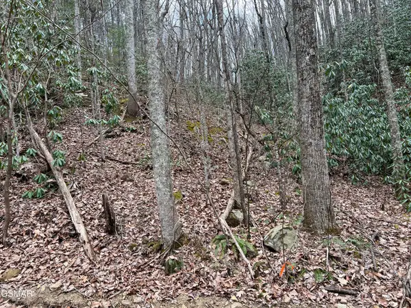 Lot 10 John Sevier Drive, Sevierville, TN 37876