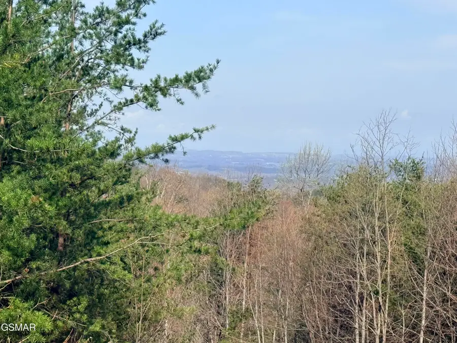 0 Trentham Road, Newport, TN 37821 - #2