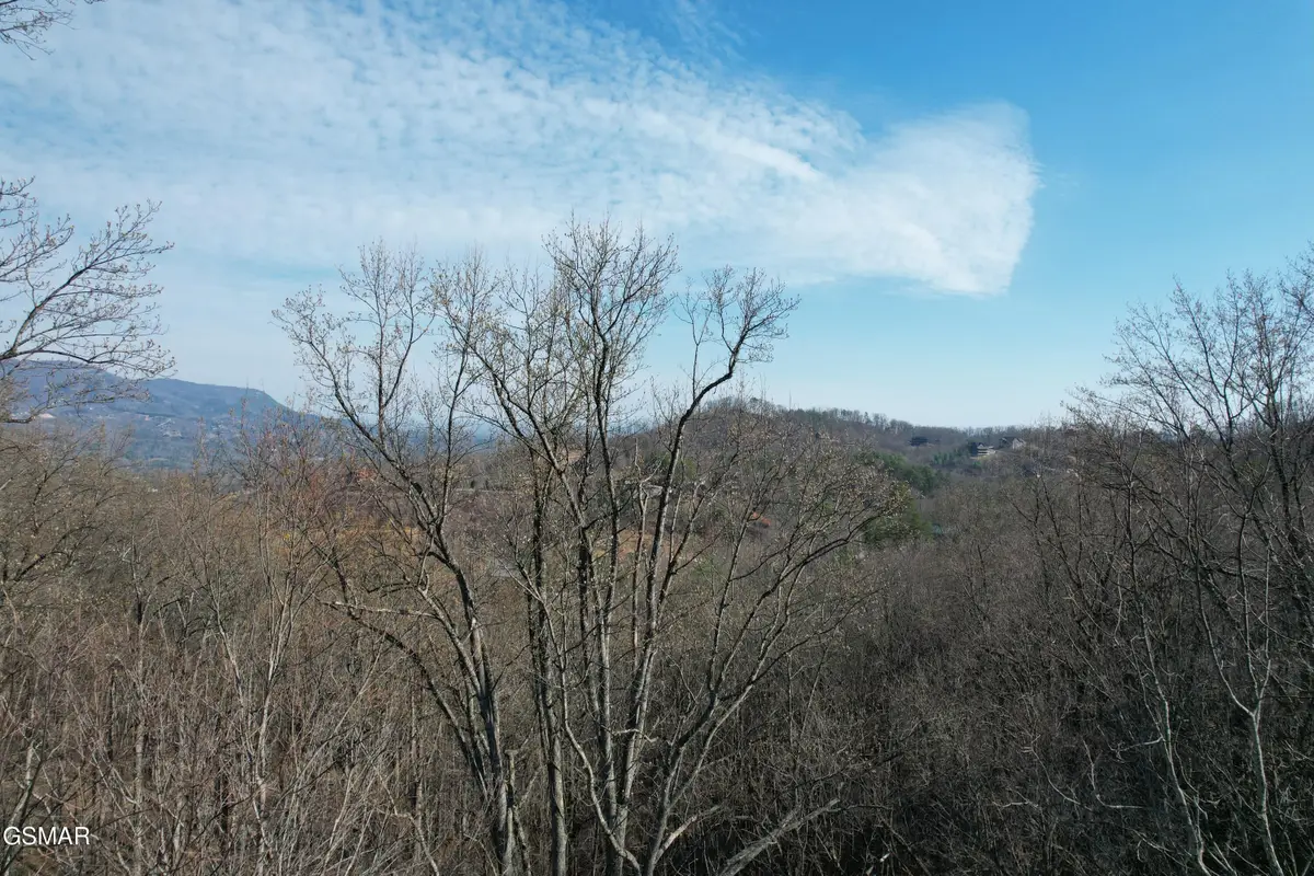 Lot 2B Spurling Way, Sevierville, TN 37862 - #1