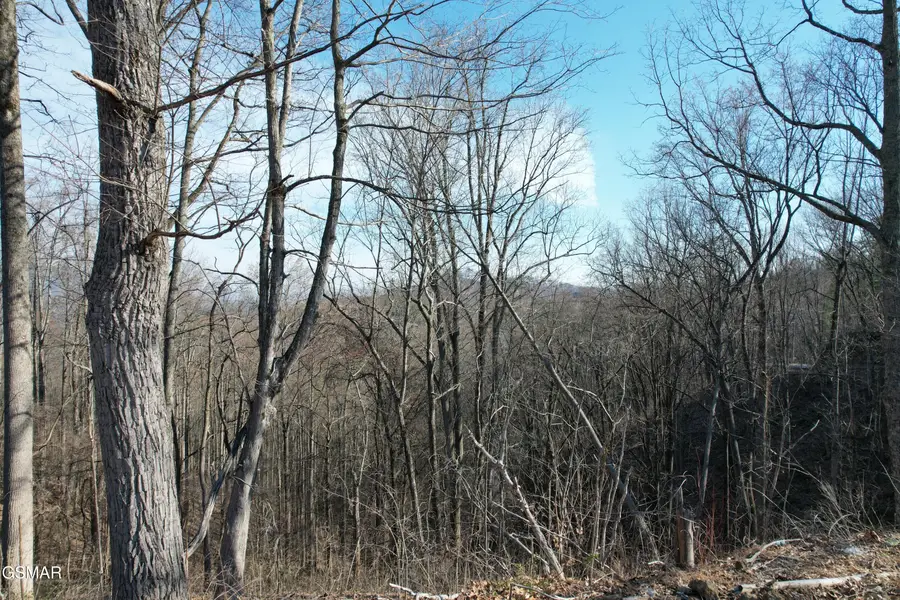 Lot 2B Spurling Way, Sevierville, TN 37862 - #2