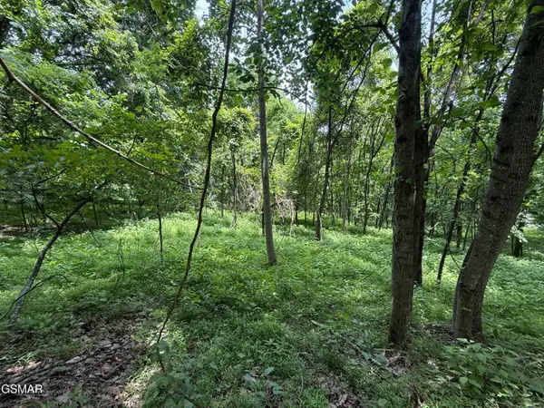 5.74 Ac Bailey Cemetery Road, Tazewell, TN 37879