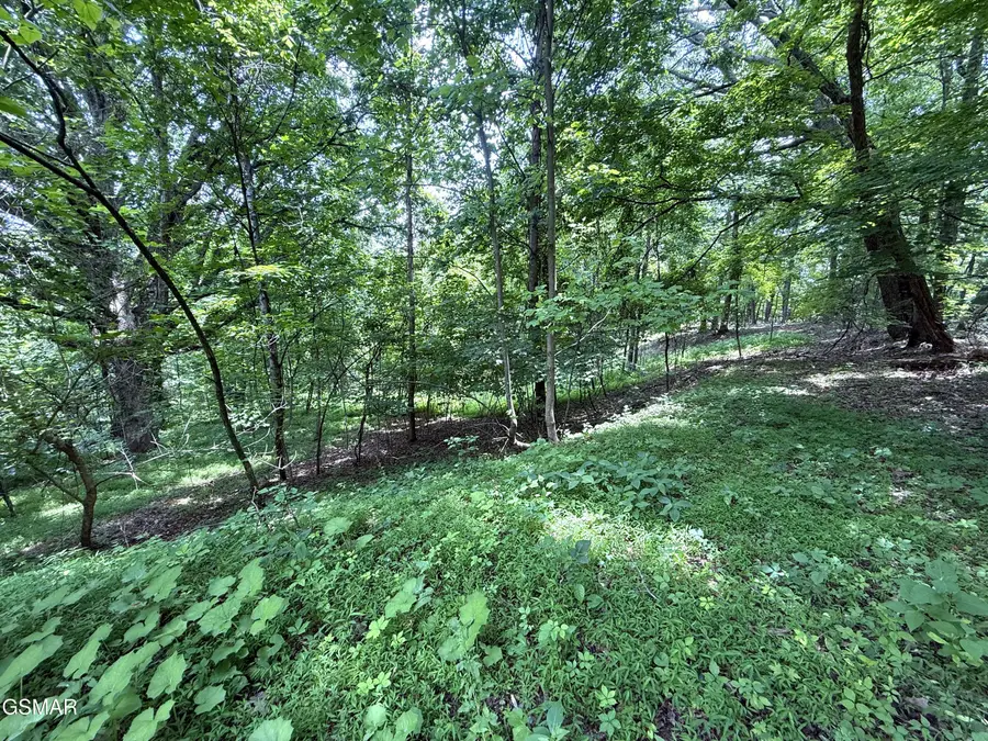 5.74 Ac Bailey Cemetery Road, Tazewell, TN 37879 - #2