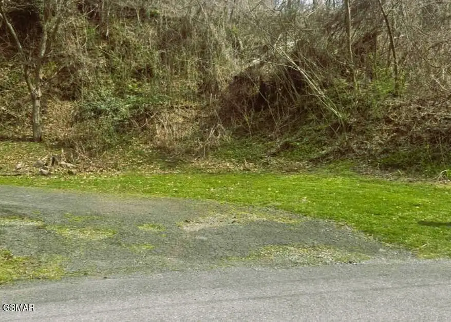 729 Turkey Nest Road, Gatlinburg, TN 37738 - #2