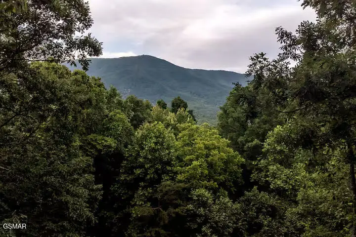 3436 Quail Way, Sevierville, TN 37862 - #2