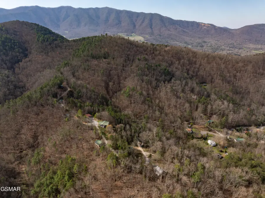 460 Boat Gunnel Road, Townsend, TN 37882 - #3