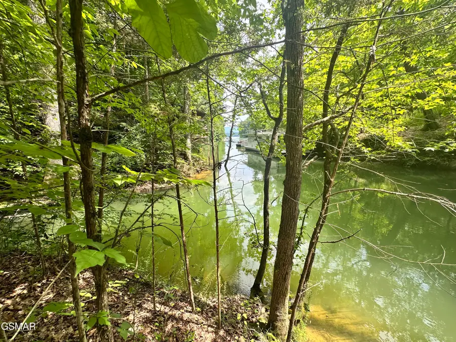 Tract 8 Woods Ridge Road, Dandridge, TN 37725 - #3