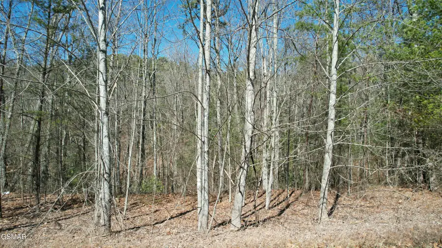 442 Hawken Drive, Walland, TN 37886 - #2