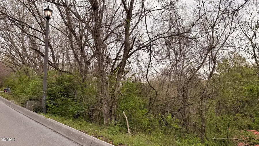 Lot 4 Hideaway Ridge Circle, Sevierville, TN 37862 - #3