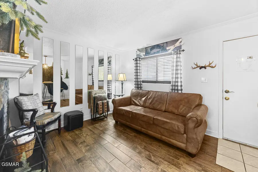 685 River Rd #214, Gatlinburg, TN 37738 - #3