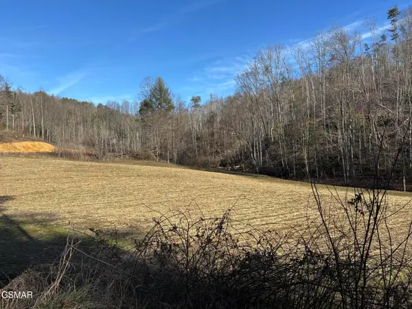 Tract 2 Bull Mountain Road, Del Rio, TN 37727