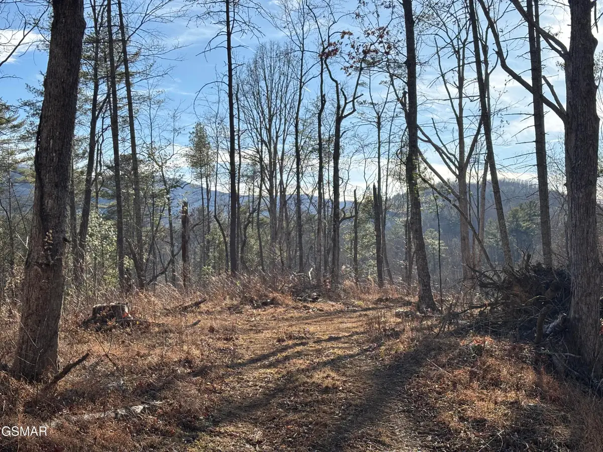 Tract 1 Bull Mountain Road, Del Rio, TN 37727 - #1