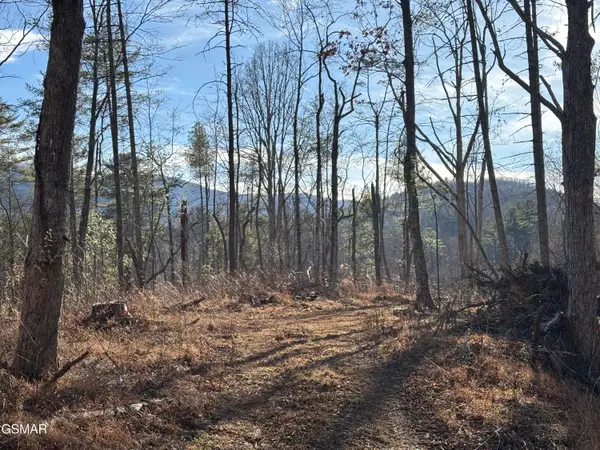 Tract 1 Bull Mountain Road, Del Rio, TN 37727