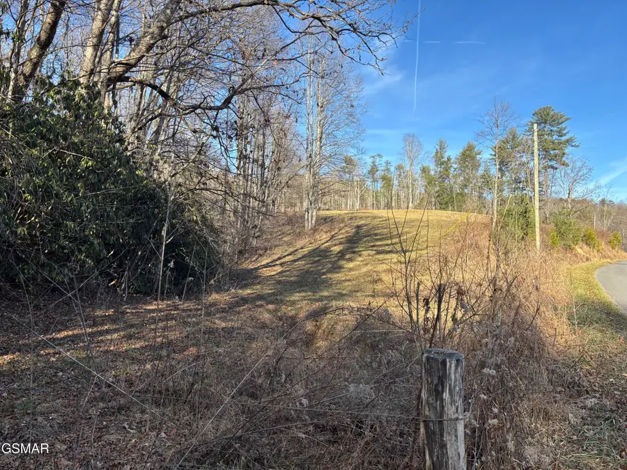 Tract 1 Bull Mountain Road, Del Rio, TN 37727 - #2
