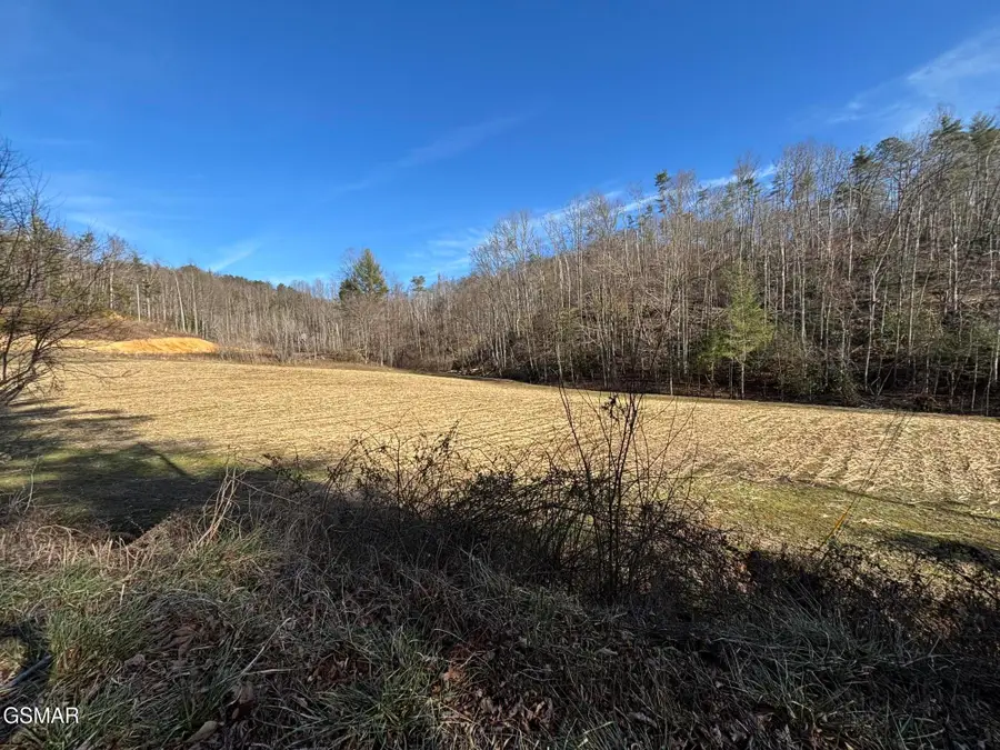 Tract 1 Bull Mountain Road, Del Rio, TN 37727 - #3