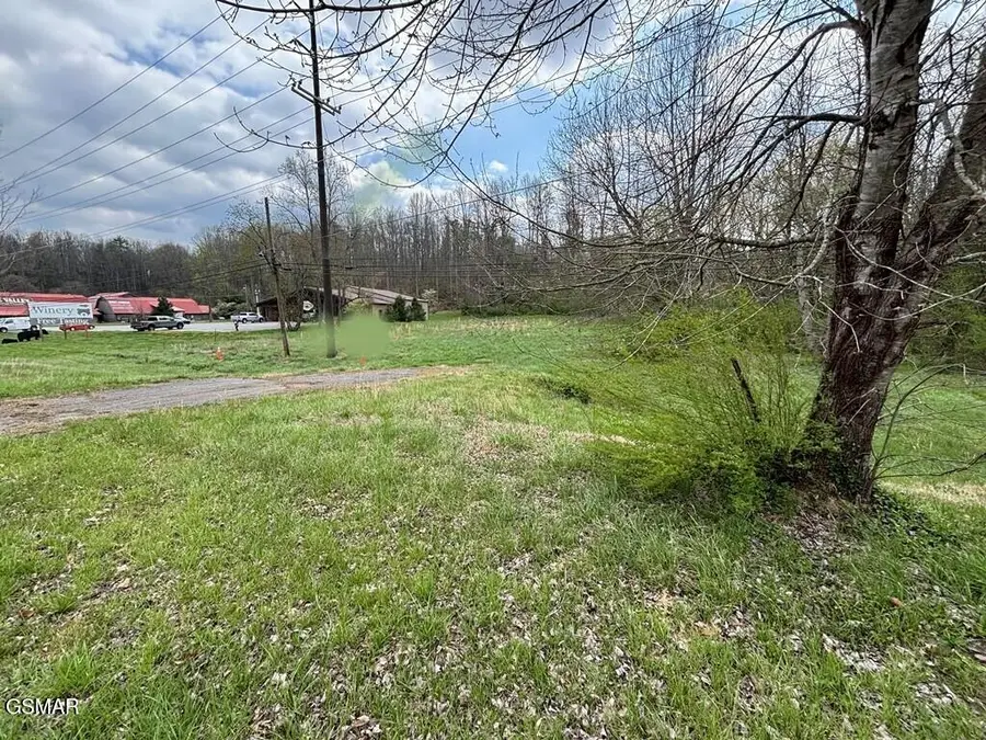 Parc.128 S E. Lamar Alexander Parkway, Townsend, TN 37882 - #2