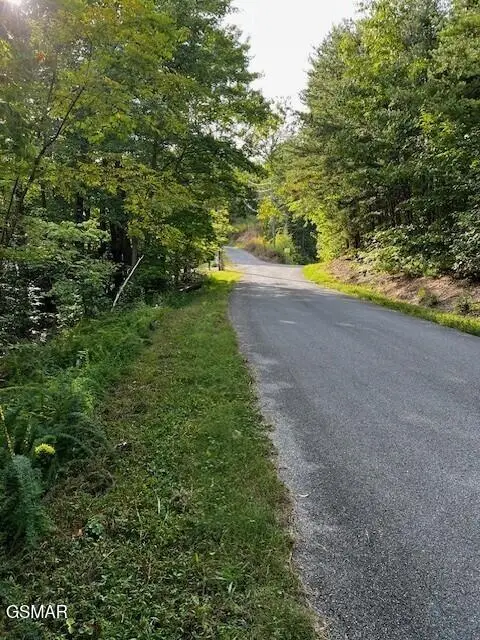 Lot 35 Round Top Way, Sevierville, TN 37862 - #3