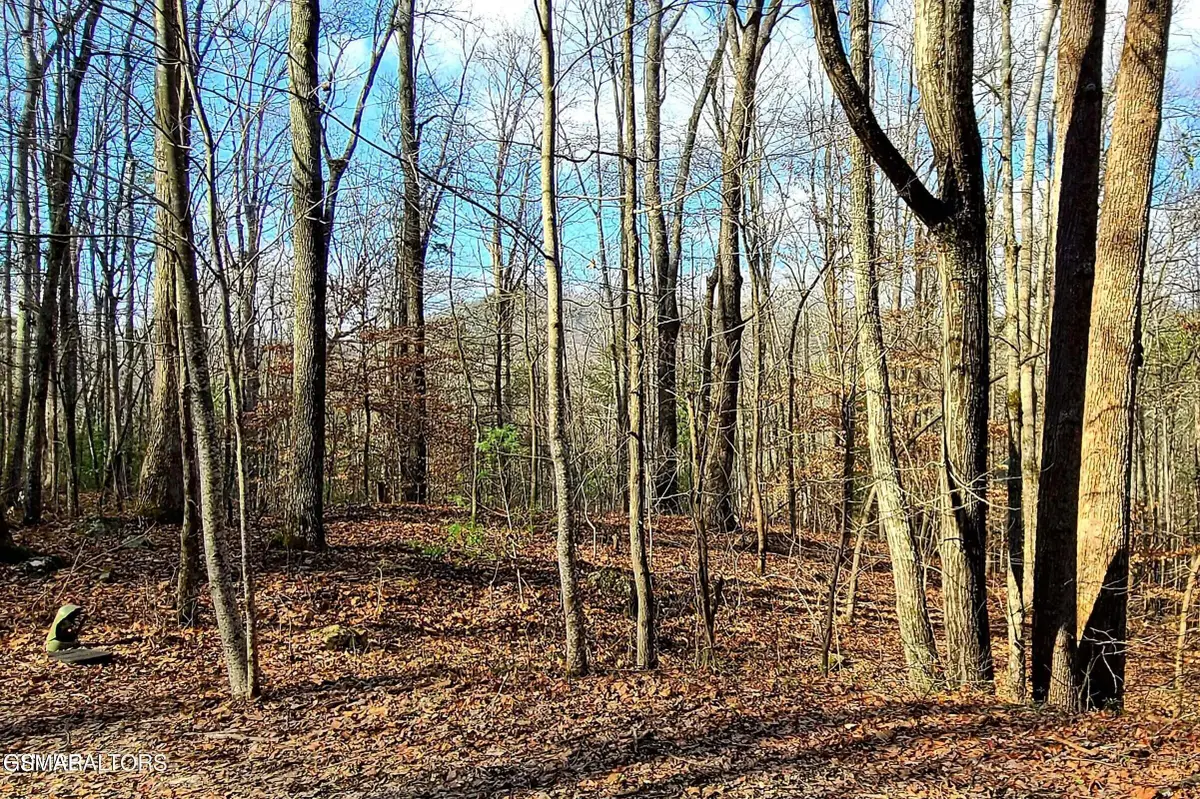 Lot 9 Walden Flats Way, Sevierville, TN 37862 - #1