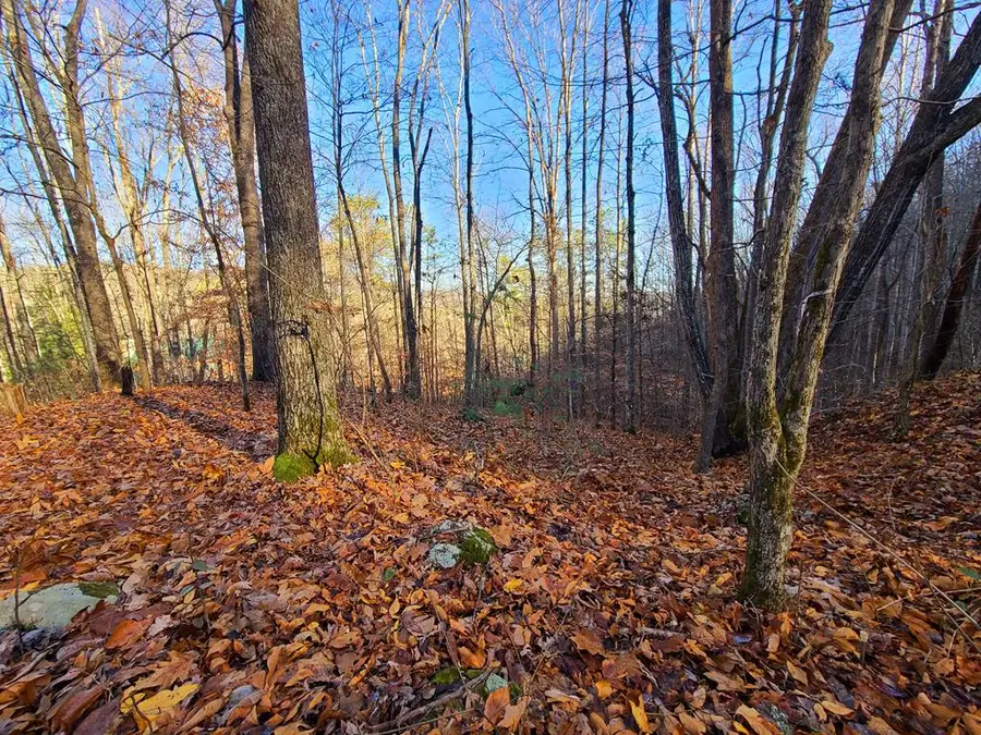 Lot 9 Walden Flats Way, Sevierville, TN 37862 - #2