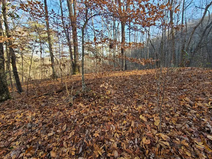 Lot 9 Walden Flats Way, Sevierville, TN 37862 - #3