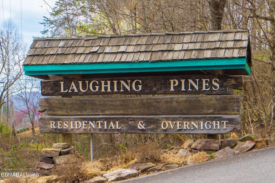 2023 Piney Overlook Lane, Pigeon Forge, TN 37862 - #2