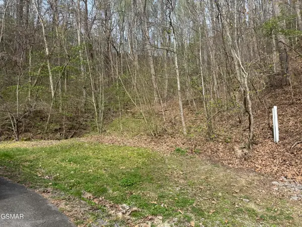 Lot 12 Whetstone Road, Sevierville, TN 37862