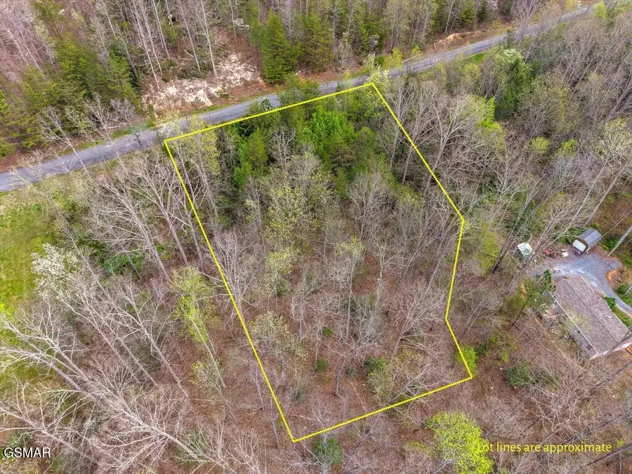 1433 Timber Trail, Newport, TN 37821 - #2