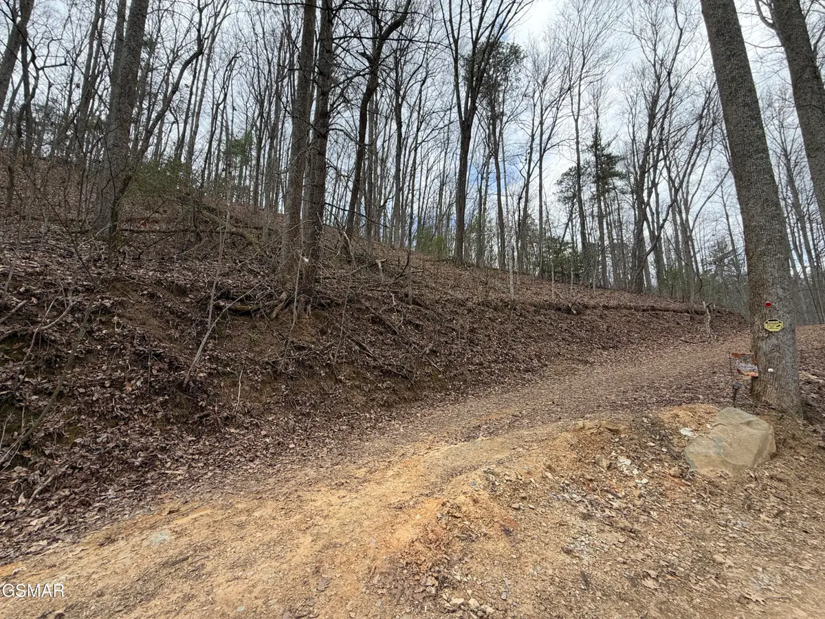 4.01 Reece Hollow Road, Del Rio, TN 37727 - #1