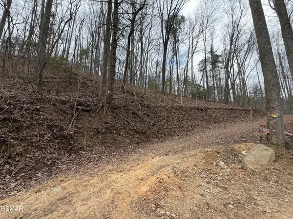 4.01 Reece Hollow Road, Del Rio, TN 37727