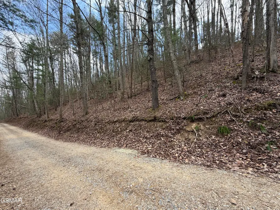 4.01 Reece Hollow Road, Del Rio, TN 37727 - #2