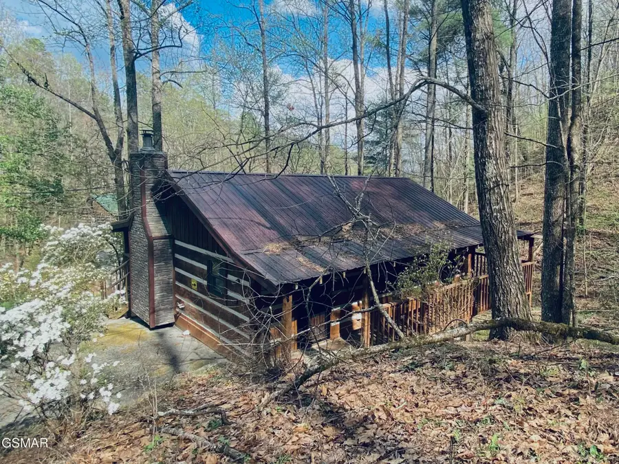2601 Black Bear Lane, Sevierville, TN 37876 - #3