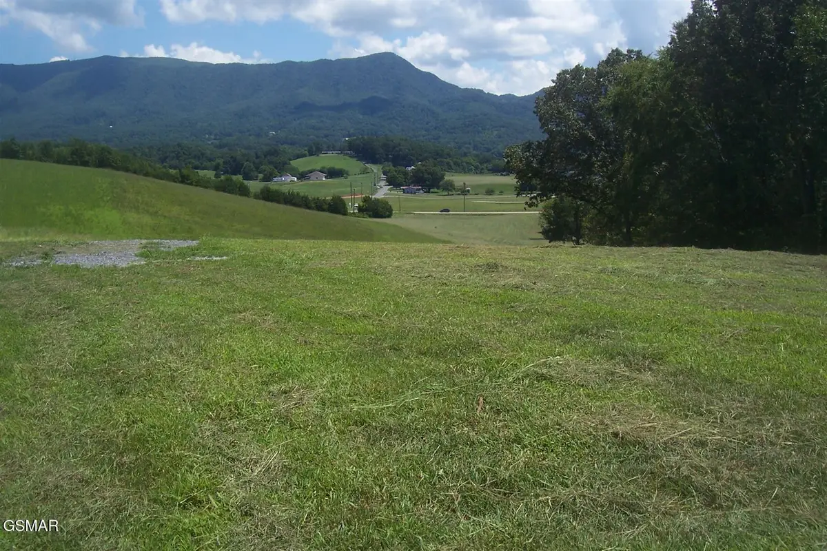 Tract 2 Newport Highway Highway, Sevierville, TN 37876 - #1