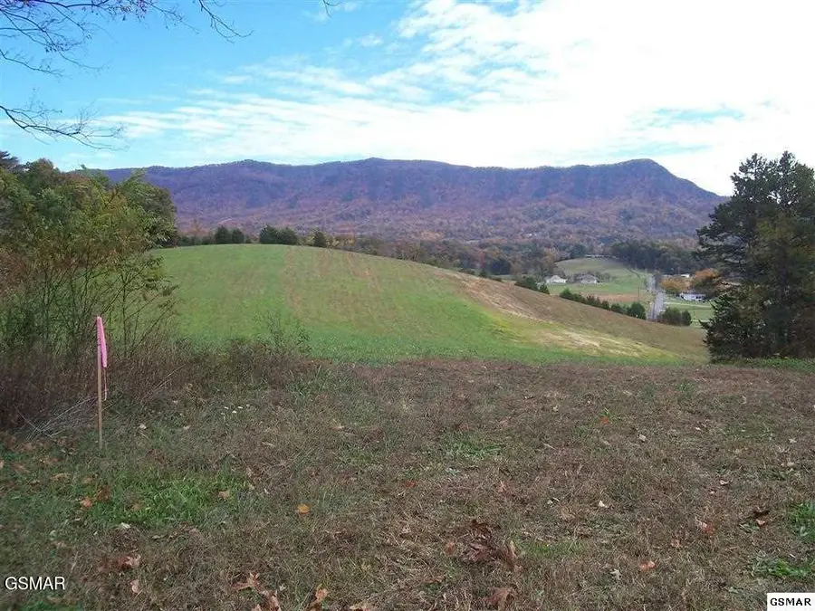 Tract 2 Newport Highway Highway, Sevierville, TN 37876 - #3