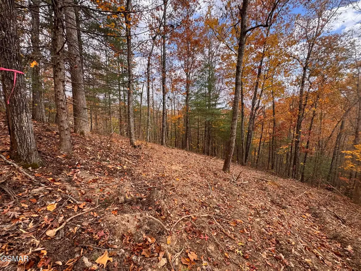Lot 42 Cedar Falls Way, Sevierville, TN 37862 - #1