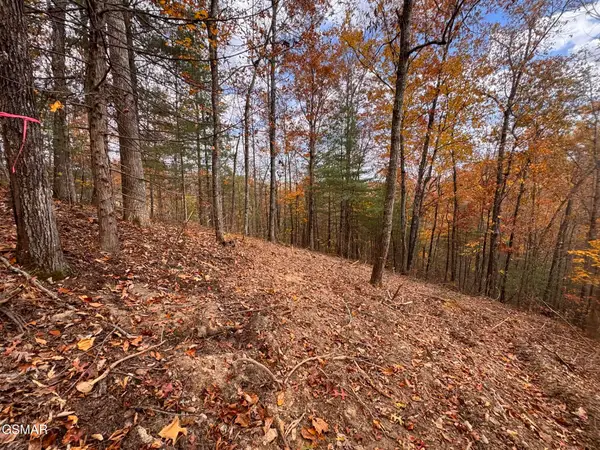 Lot 42 Cedar Falls Way, Sevierville, TN 37862