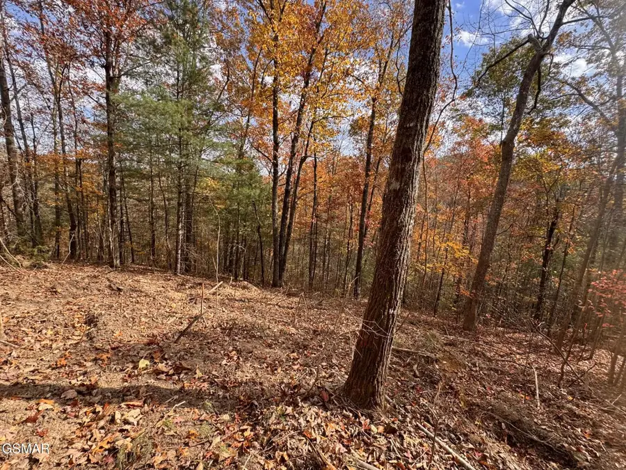 Lot 42 Cedar Falls Way, Sevierville, TN 37862 - #3