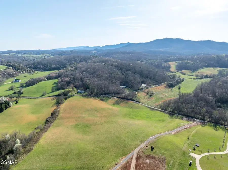 Lot 5 Bluff Road, Parrottsville, TN 37843 - #2