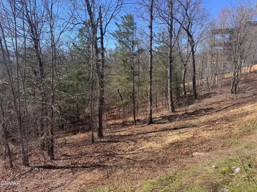 Lot 100 Laurel Cove Trail, Sevierville, TN 37862 - #3