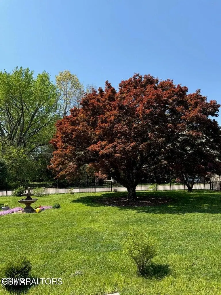 724 Hidden Valley Road, Knoxville, TN 37923 - #3