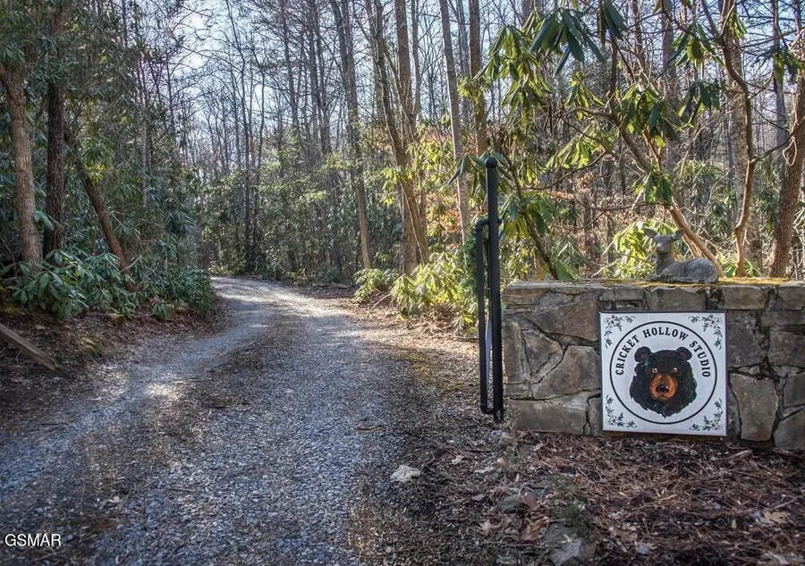 125 Cricket Hollow Way, Cosby, TN 37722 - #2