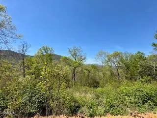 520 Stevia Way, Cosby, TN 37722 - #3