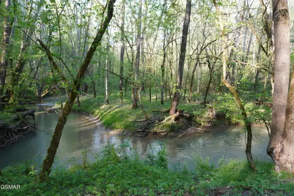 Lots 1-2 Golf Course Road, Newport, TN 37821