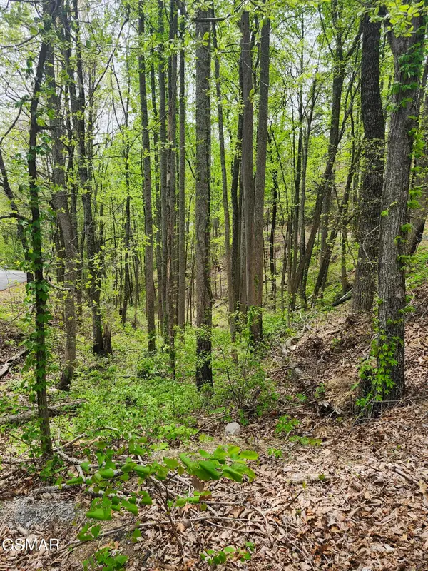 Lot 1 Hatcher Mtn Road, Sevierville, TN 37862