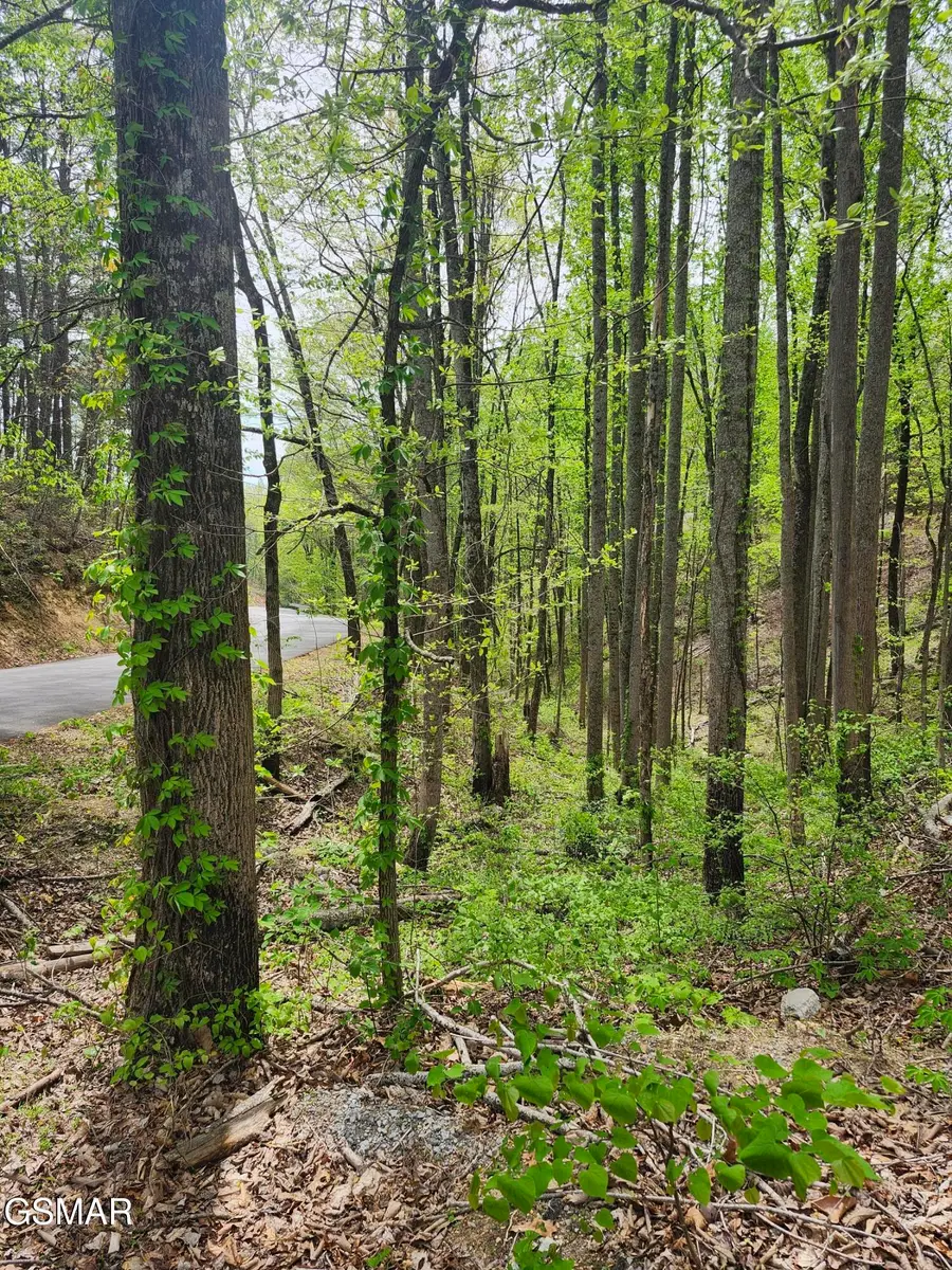 Lot 1 Hatcher Mtn Road, Sevierville, TN 37862 - #2