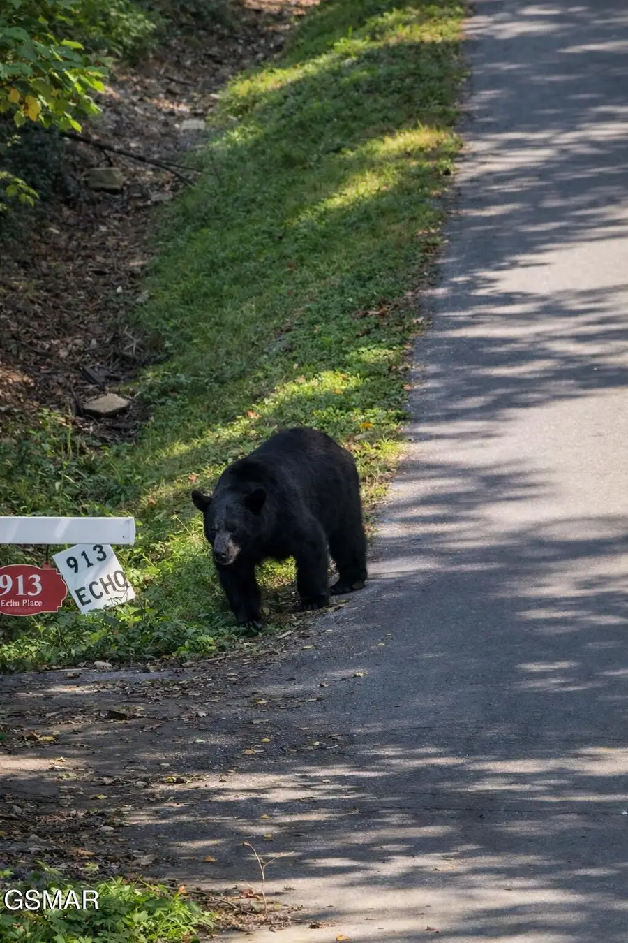 913 Echo Place, Gatlinburg, TN 37738 - #2