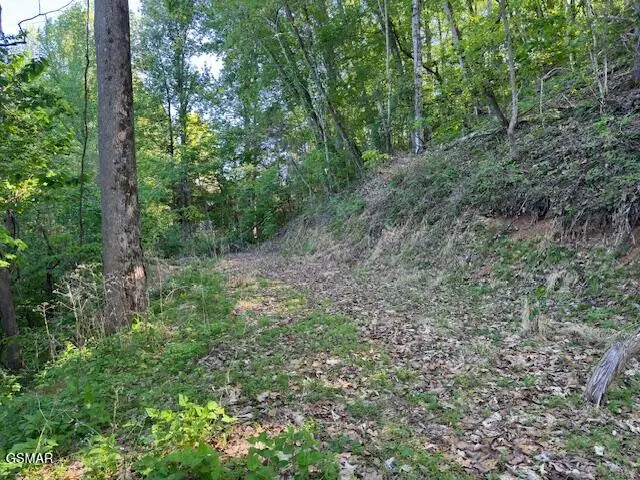 Lot 13 Dove View Road, Sevierville, TN 37862 - #1