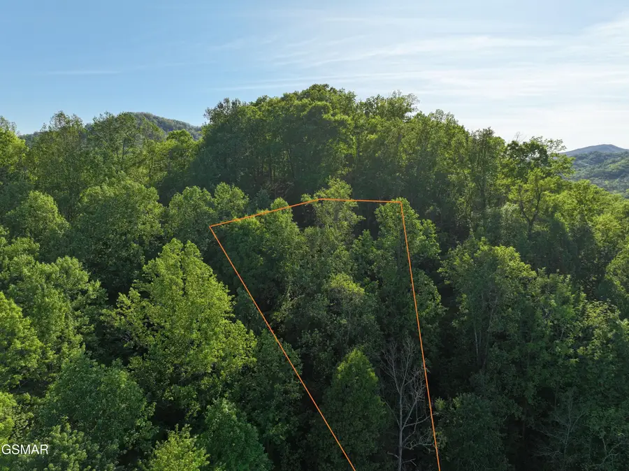 Lot 13 Dove View Road, Sevierville, TN 37862 - #2