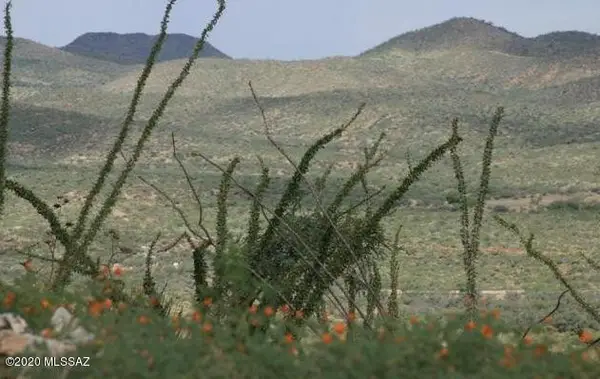 0000 None Assigned A-200, Vail, AZ 85641